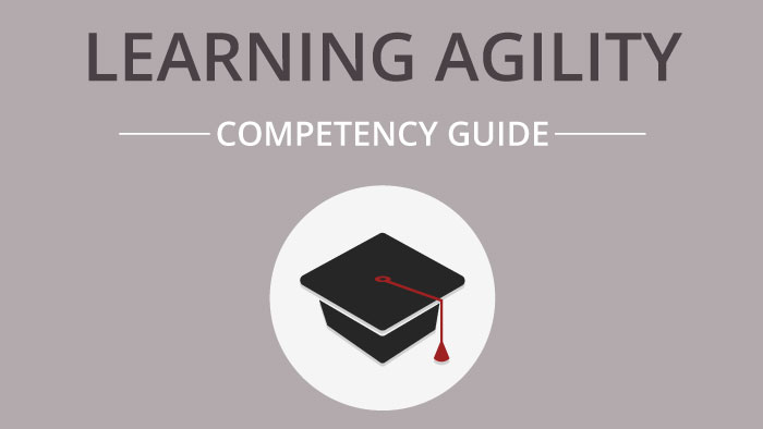 How-To Guide: Learning Agility